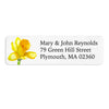 Yellow Daffodil Flower Return Address Label