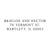 Modern Return Address Stamp - Self-Inking - Modern & Minimal (Braylon and Hector Design)